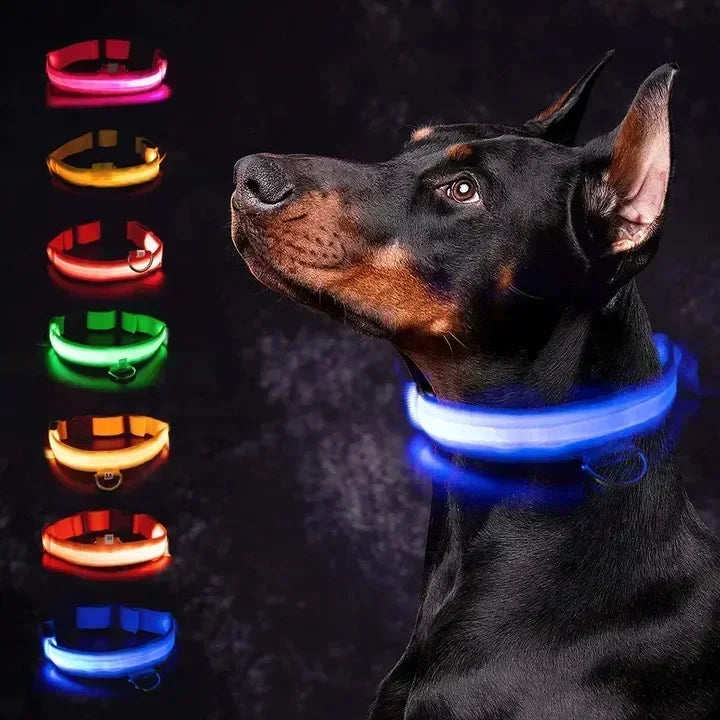 GlowTrek LED Dog Collar